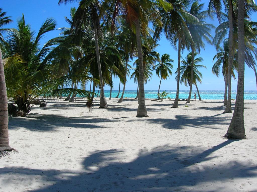 Отель Caraibidamari Байяибе Номер фото